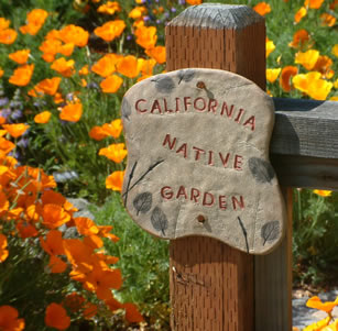 California Native Gardens